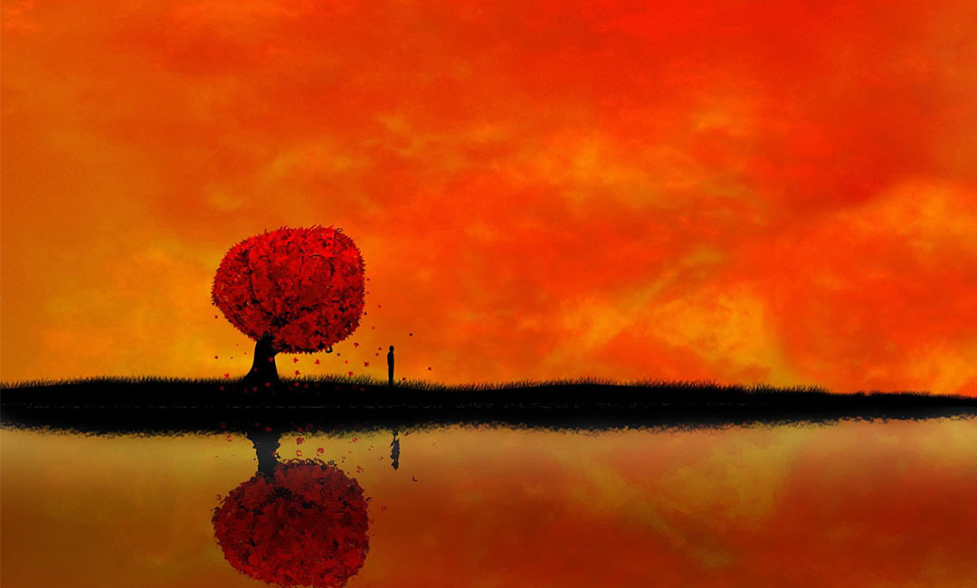 渝北笙影微信朋友圈转发案例